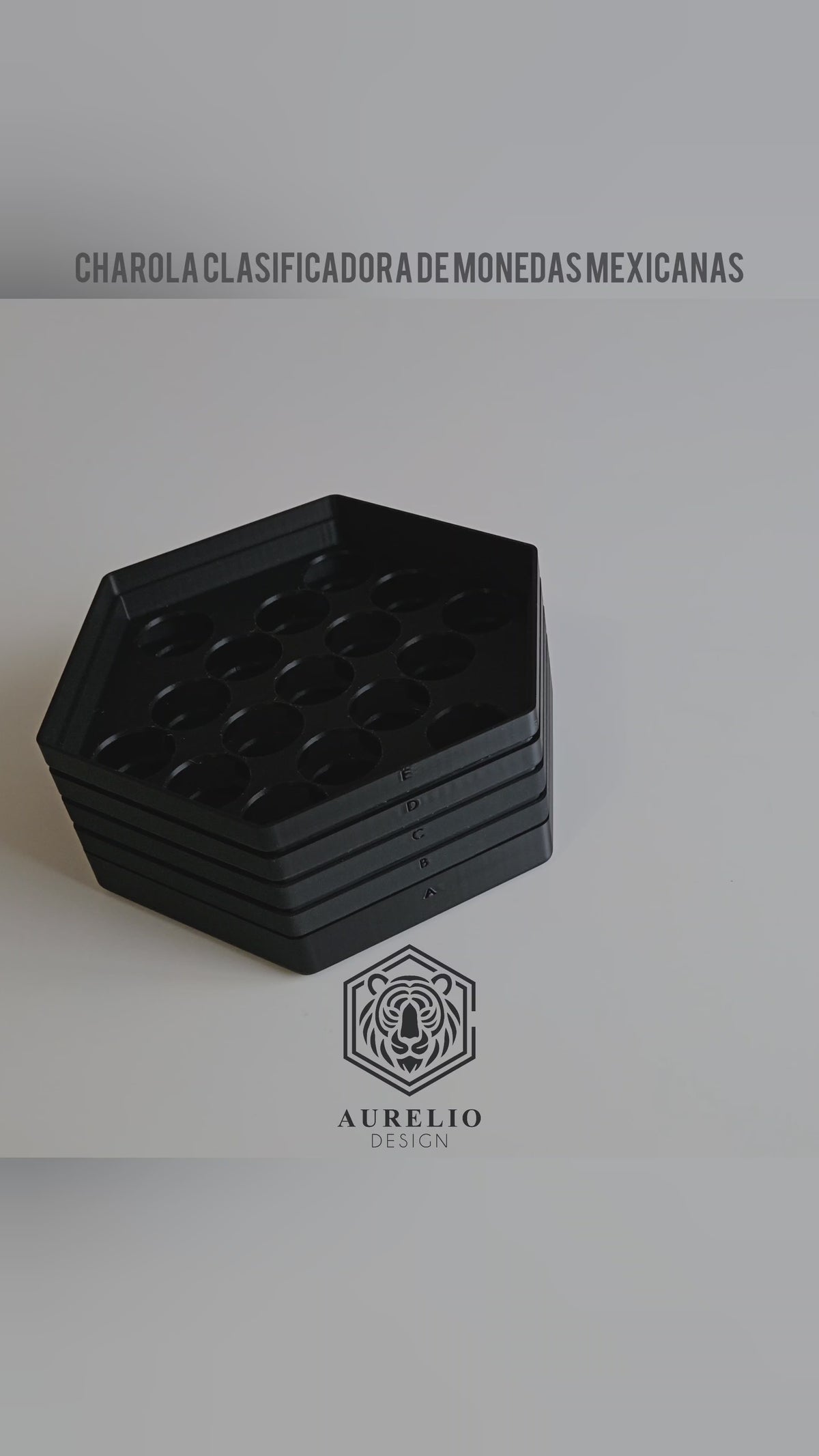 Aurelio Coin Sorter Tray — 3D Printed Mexican Peso Coin Organizer